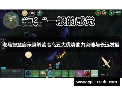 老马智慧启示录解读魔鸟五大优势助力突破与长远发展 老马智慧启示录解读魔鸟五大优势助力突破与长远发展