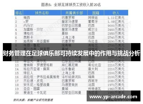 财务管理在足球俱乐部可持续发展中的作用与挑战分析